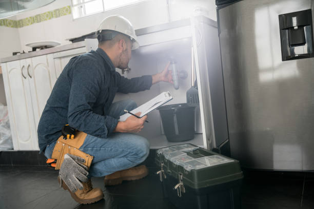 Best Local Plumber Services  in Van Buren, MO