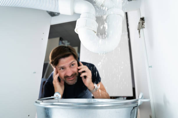 Best Plumbing Inspection Services  in Van Buren, MO