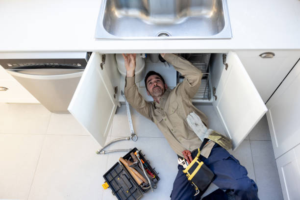 Best Local Plumber Services  in Van Buren, MO